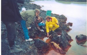 The photo below is taken in the northern Siberia, close to the town Norilsk, where we were trying to find new cold thriving bacteria using iron and or sulphur compounds for their growth