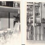 Dish, Media and Orders